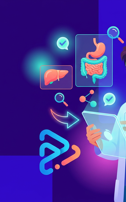 Easy USMLE Gastrointestinal Anatomy Practice Questions